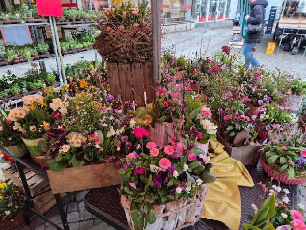 Johann Wurthmann - GALLERY