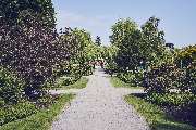 Johanniter-Stift am Rosarium - © Martin Bühler