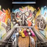 JOHN REED Fitness Düsseldorf Bilk - GALLERY