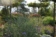 Johs. von Ehren Garten GmbH & Co.KG - GALLERY