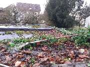 JS Dienstleistungen - IMG-20240919-WA0002.jpg