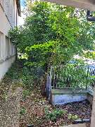 JS Dienstleistungen - IMG-20240919-WA0006.jpg