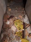 JS Dienstleistungen - IMG-20240919-WA0013.jpg