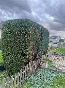 J&T Garten&TerrassenHelden - 5