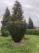 J&T Garten&TerrassenHelden - 6