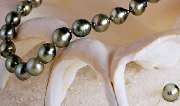 Juwelier Goldgraeber - GALLERY