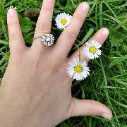 Juwelier Ihringer - 12096109_10207893728371482_8399980269257266666_n.jpg