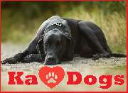 Logo - Ka-Dogs Hundetraining+Dogwalking in Bötzow (Oberhavel)