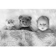 Kai Mischner Photography - GALLERY