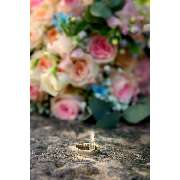 Kai Mischner Photography - GALLERY