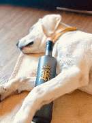 Kalisyndikat GmbH - 21