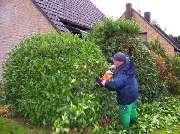 Kamp Andreas - GALLERY