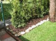 Kamp Andreas - GALLERY