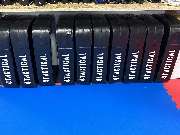 Kampfkunstschule Lopez - Pratzen