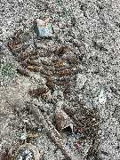 Kampfmittelbergung Bartholomäus - GALLERY