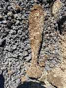 Kampfmittelbergung Bartholomäus - GALLERY