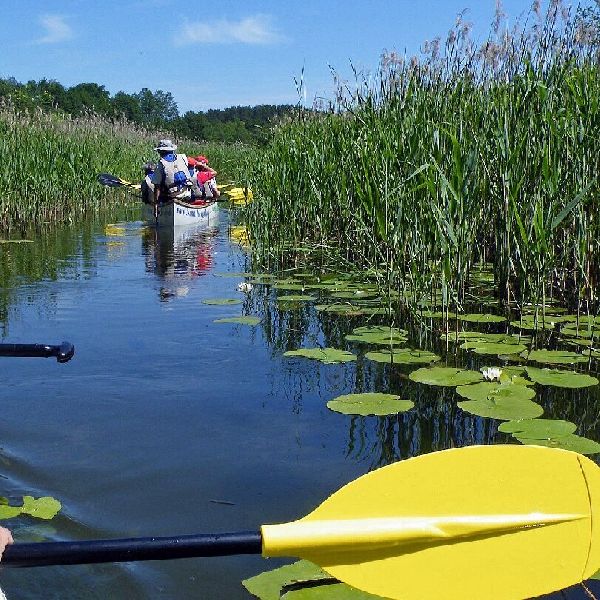 Kanu - Hecht - GALLERY