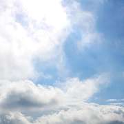 Kanu - Hecht - GALLERY