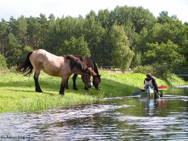 Kanu - Hecht - GALLERY