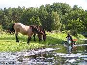 Kanu - Hecht - GALLERY