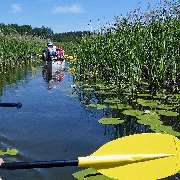 Kanu - Hecht - GALLERY