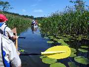 Kanu - Hecht - GALLERY