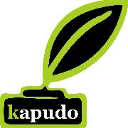 Logo des kapudo IT-Studio