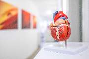 Kardiologie im Zentrum Dr. Bernadette Adamek - Kardiologie im Zentrum Dr. Bernadette Adamek