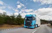 Karl Distler GmbH - GALLERY