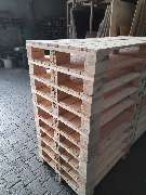 Karl Sterr Söhne UG - GALLERY