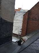 Kaßburg Dach - Bau GmbH - GALLERY