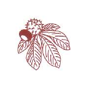 Kastanien-Apotheke  Apotheken A. Rimrod & F. Rimrod OHG - Logo der Kastanien-Apotheke  Apotheken A. Rimrod & F. Rimrod OHG