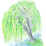 Katharina Dietrich - LOGO