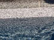 Katja Geratz Schwimmbad-Sauna - GALLERY