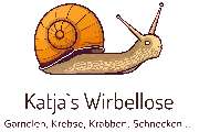 Katjas Wirbellose - GALLERY