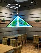 Kedi Hotel Papenburg GmbH & Co. KG - GALLERY