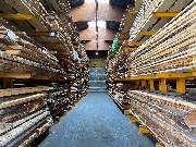 Keplinger Holz Stammham - GALLERY