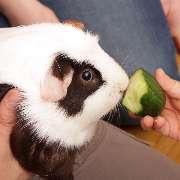 Kids & Co. Unterlindau - pme Familienservice - Kita Kids & Co. Unterlindau Kindergarten
Frankfurt
pme Familienservice GmbH