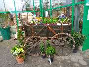 Kiebitzmarkt Hunteburg - GALLERY