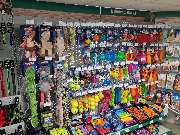 Kiebitzmarkt Tettenborn - GALLERY