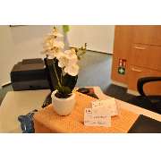 Kieferorthopäde Köln | Dr. Peter Kram - Kieferorthopäde Dr. Peter Kram