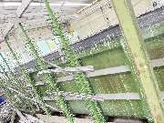 KILIC GmbH Heiligenhaus - GALLERY