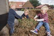 Kinderbauernhof Wigger - 25