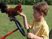 Kinderbauernhof Wigger - 6