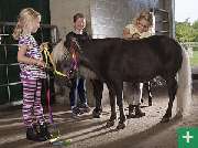 Kinderbauernhof Wigger - 8