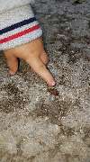 Kindertagespflege Knopf und Knöpfchen - GALLERY