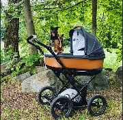 Kinderwagen Babymar - FEDER Kinderwagen - 12