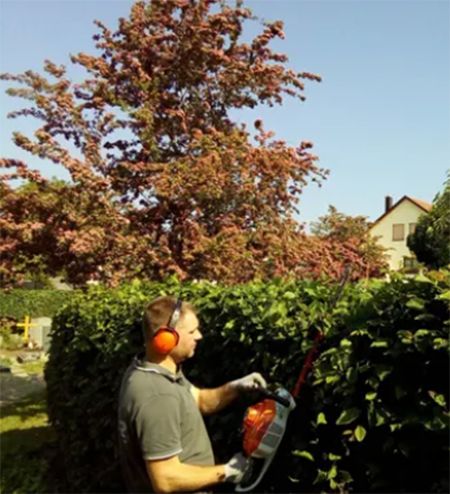 Kindler-Objektbetreuung - GALLERY