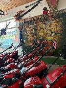 Kipferl Tobias - GALLERY