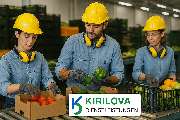 KIRILOVA DIENSTLEISTUNGEN - GALLERY